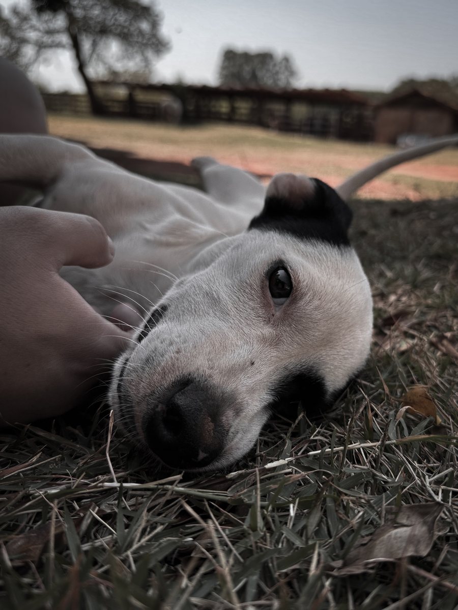 Foto editada com o Aesthetic Dark 2